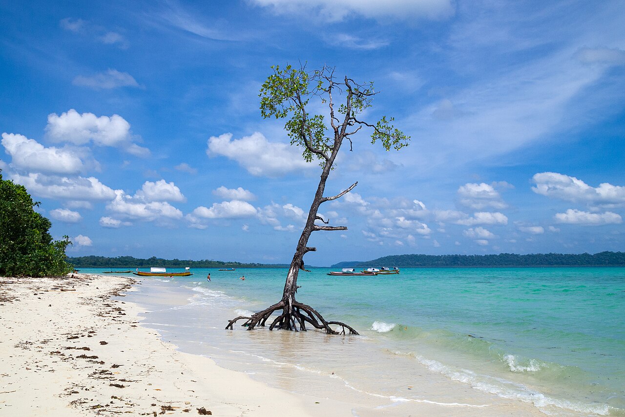 plage île tropicale