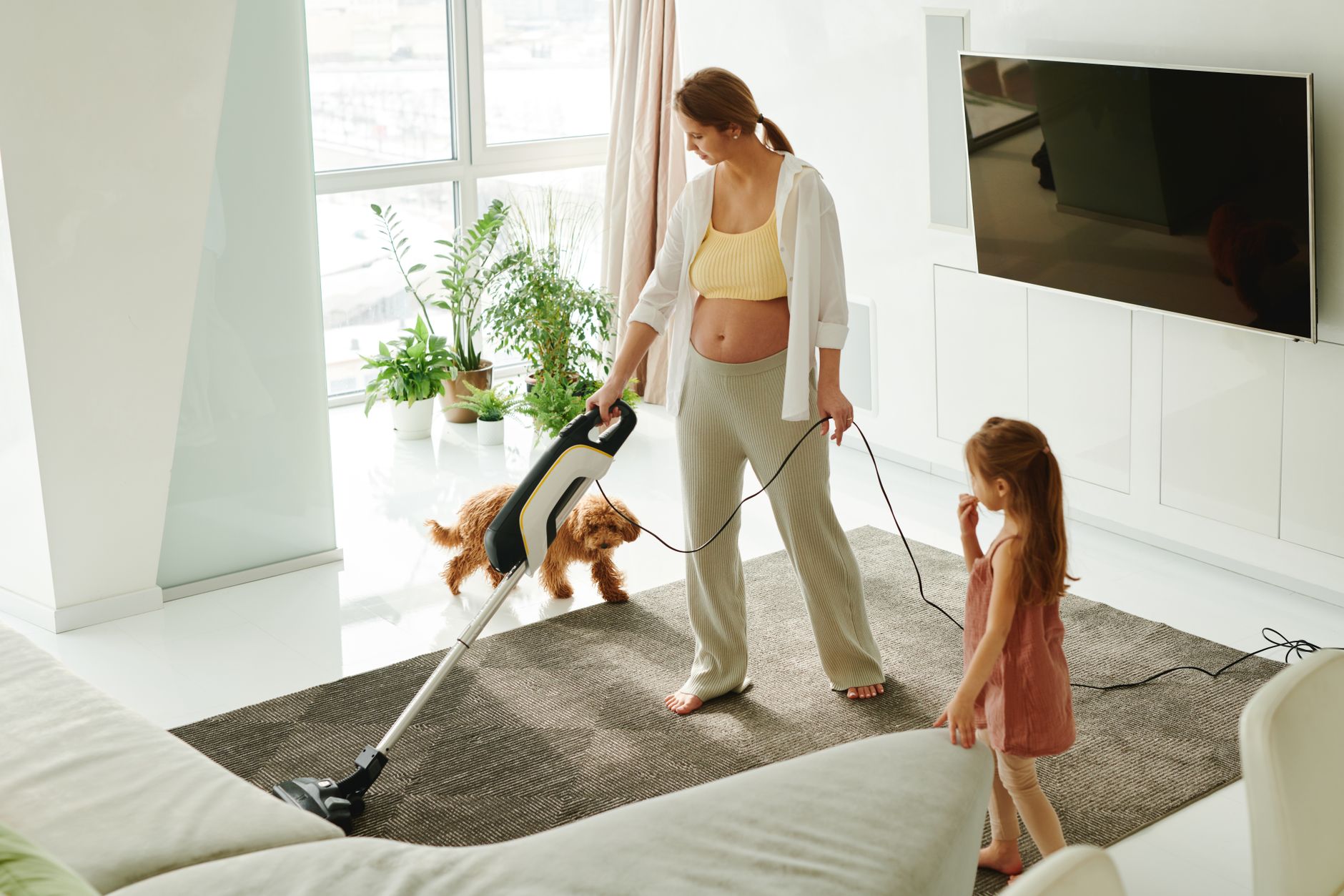 aspirateur tapis maison