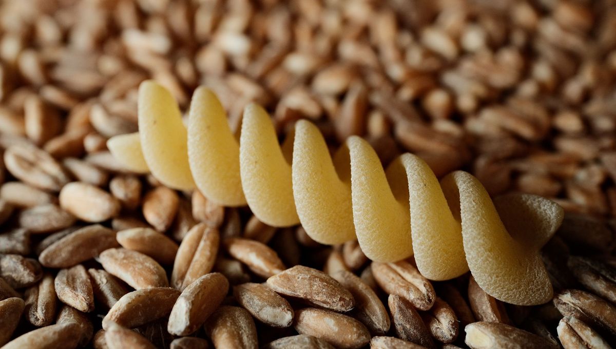 Grains de petit épeautre dorés dans un bol en bois